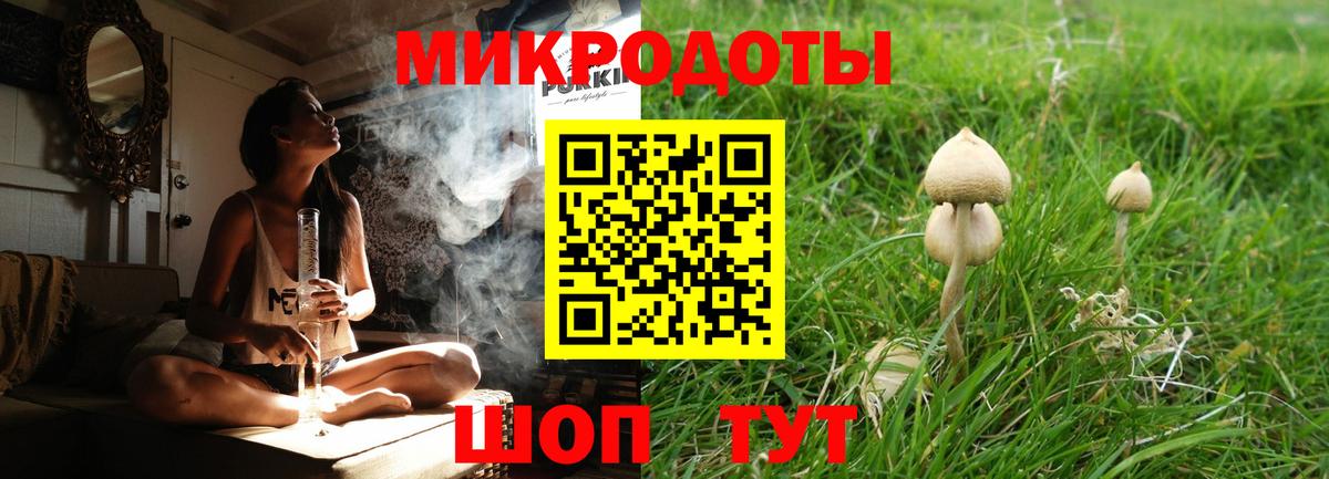 Галлюциногенные грибы Psilocybine cubensis Гусев