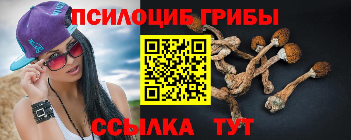 Галлюциногенные грибы Magic Shrooms  Псилоцибиновые грибы GOLDEN TEACHER  Вход с VPN  Гусев 